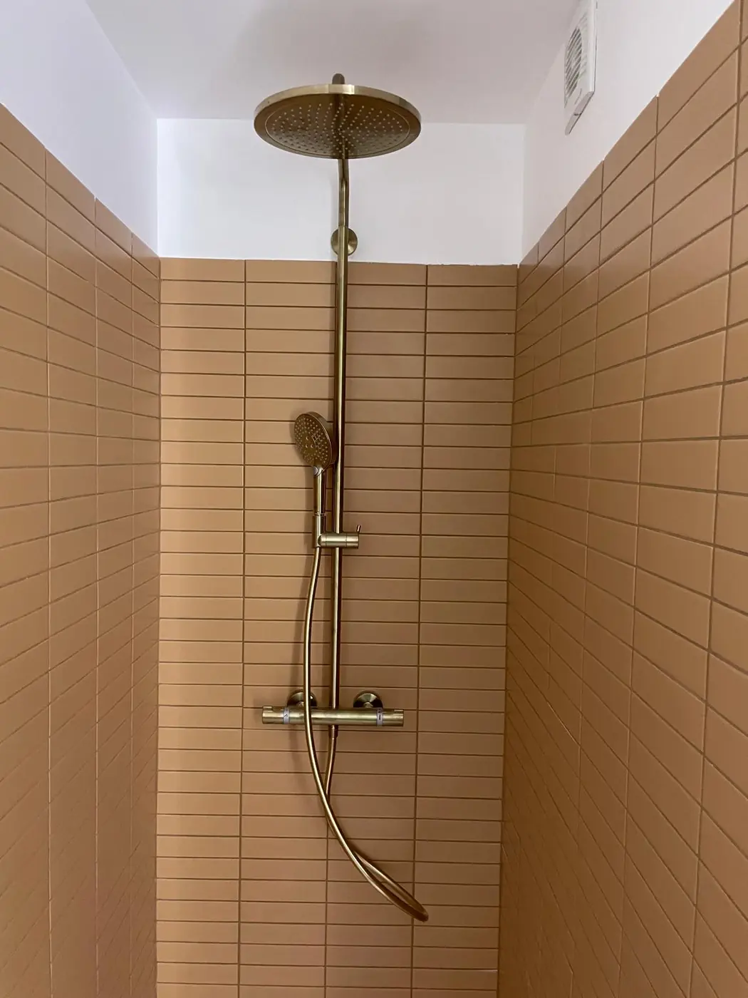 Appartement aux murs terracotta, Peinture · placo · revêtements, réalisation SINOPIA